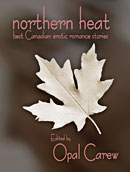 Cover of Northern Heat