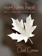 Warm up with some Northern Heat