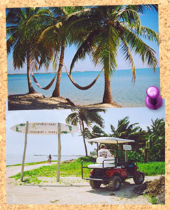 Two empty hammocks swing between three palm trees, and in another photo a golf cart trundles along the beach into the green palms.